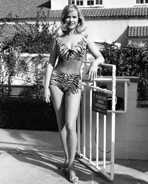 000 Anne Francis 1950s Actress.jpg