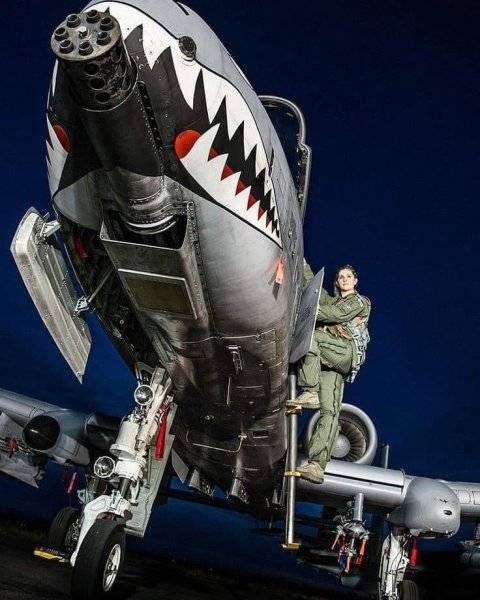 000000 aircraft A-10 Warthog.jpg