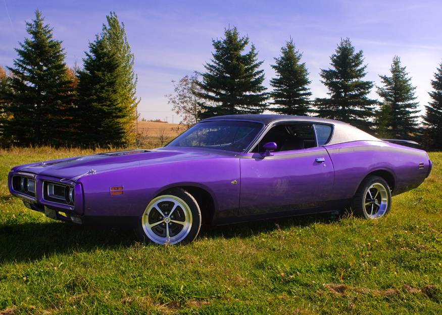 00071971PlumCrazySuperbee.jpg