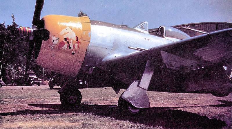 1280px-394th_Fighter_Squadron_P-47D_Thunderbolt_1945.jpg