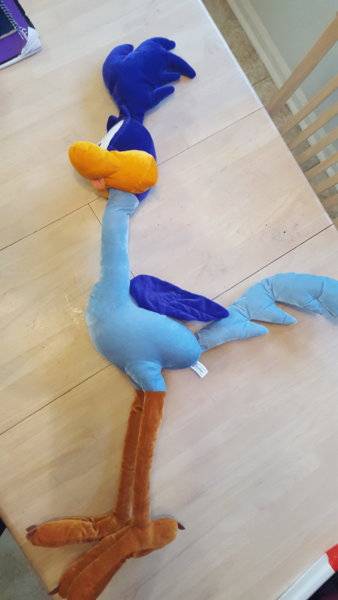 stuffed roadrunner