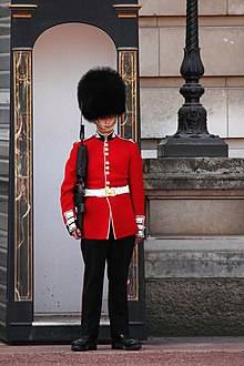 220px-Buckingham-palace-guard-11279634947G5ru.jpg