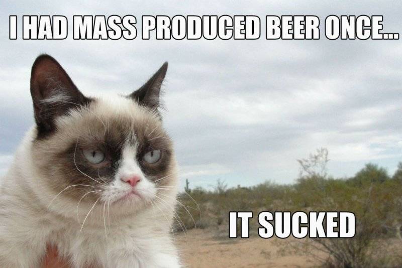 355104-cat-meme-quote-funny-humor-grumpy-beer.jpg