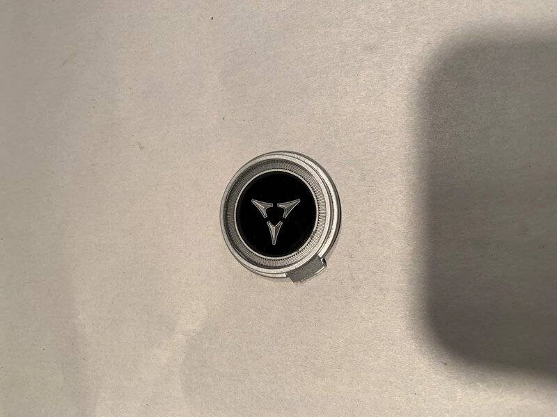 68 Horn button 1.jpg