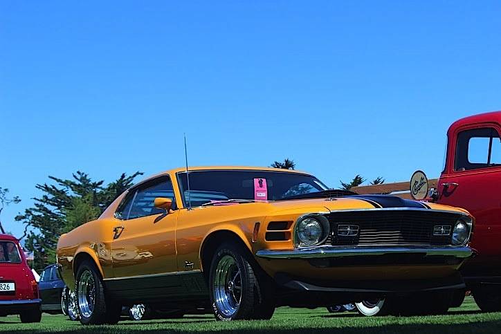 70 Mustang Mach-1 Grabber Yellow.jpg