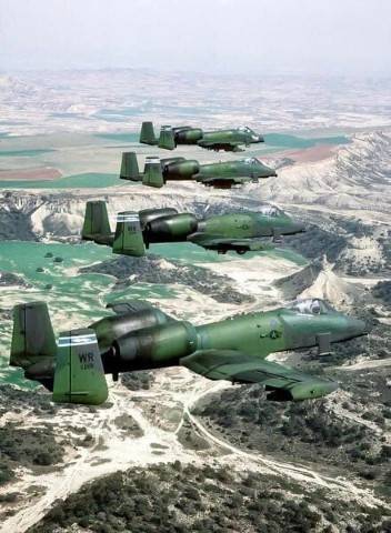 A-10's Different Paint (Small).jpeg