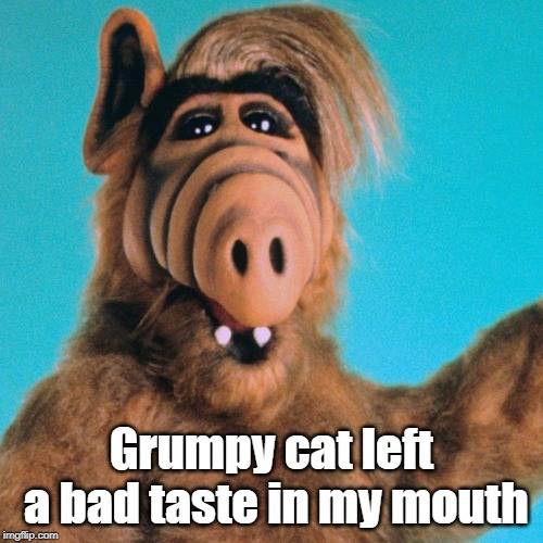 ALF 2.jpg