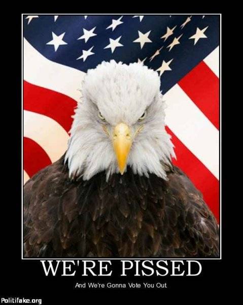 American Bald Eagle We're Pissed gonna' vote you out.jpg