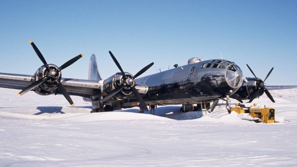 b29-frozen-merl.jpg