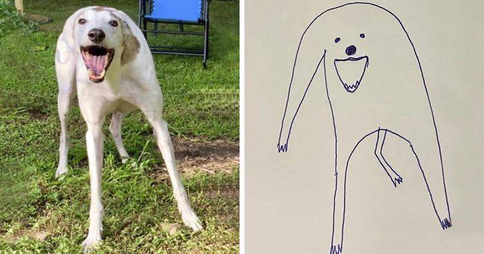 badly-drawn-flat-dog-doodles-jay-cartner-fb19-png__700.jpg