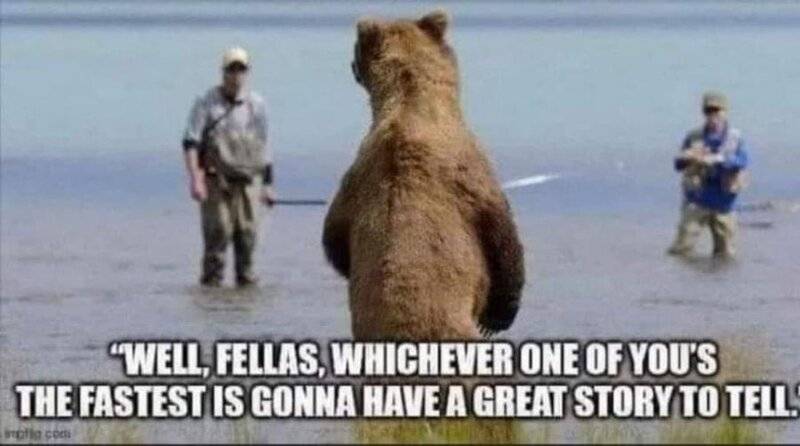 Bear.jpg