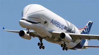 Beluga Airbus Aircraft.jpg