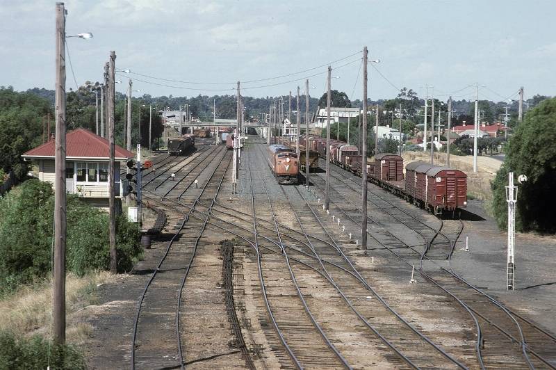 bendigo01_feb4_1989_bamford.jpg