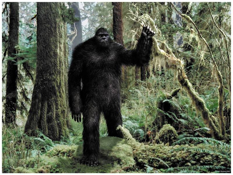 Bigfoot.jpg