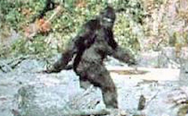 Bigfoot Roger Patterson Film 1967 still zoomed in.jpg