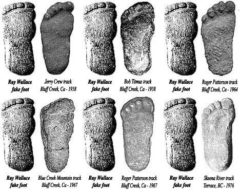 Bigfoot tracks #2 casts.jpg