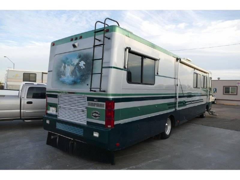 Budnicks 97 Safari Serengeti #3 Motorhome Cat Pusher Rear Bird Waterfall mural.jpg