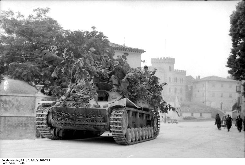 bundesarchiv_bild_101i-316-1161-22a_italien_panzerjger_nashorn-hornisse.jpg