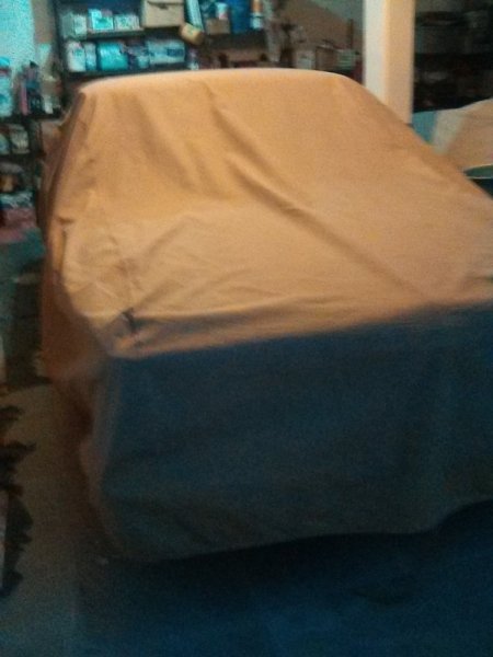 car cover 4.jpg