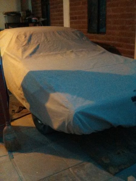 car cover 5.jpg