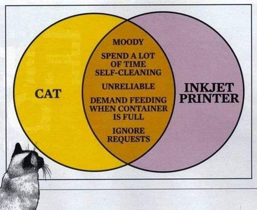 cat inkjet.jpg