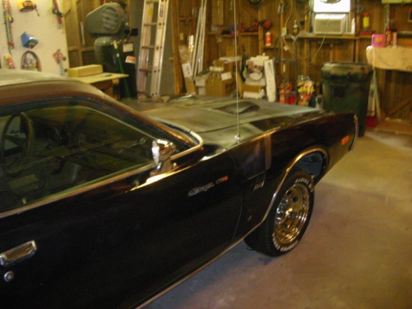 Charger in August 003 (600 x 450).jpg