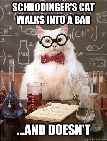 Chemistry+Cat.jpg