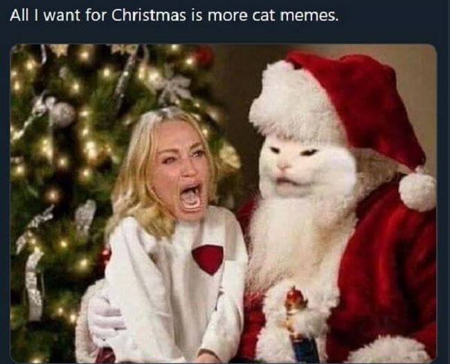 Christmas-memes-2~2.jpg