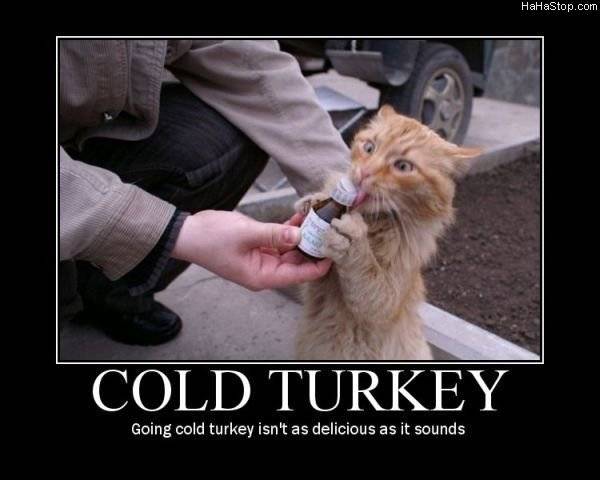 Cold_Turkey.jpg