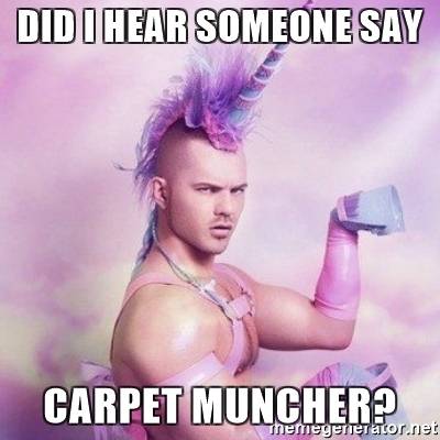 did-i-hear-someone-say-carpet-muncher.jpg