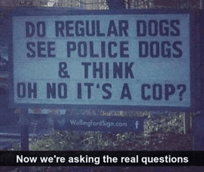 Dog do reg. dogs see K9's & think oh no the cops.png