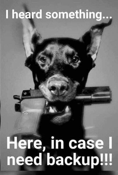 Dog Dobermnan with a gun -Here for backup-.jpg