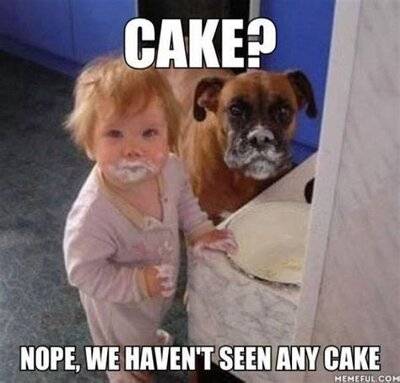 Dog & kid with cake of faces - Nope we haven't seen any cake.jpg