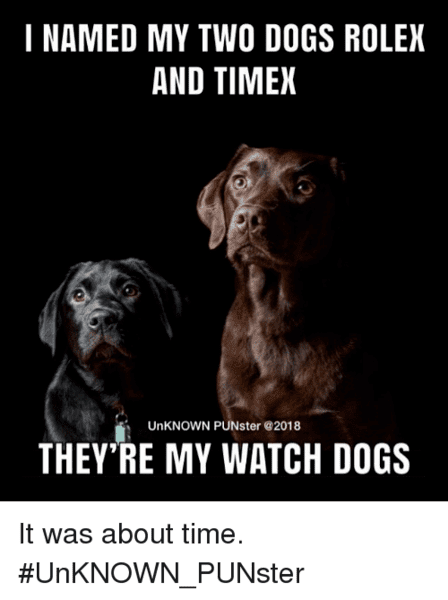 Dog Lab Rolex & Timex -watch dogs-.png