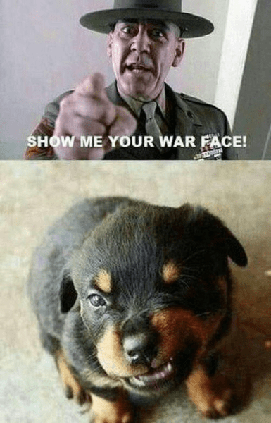 Dog Puppy Rot show me your War face.png