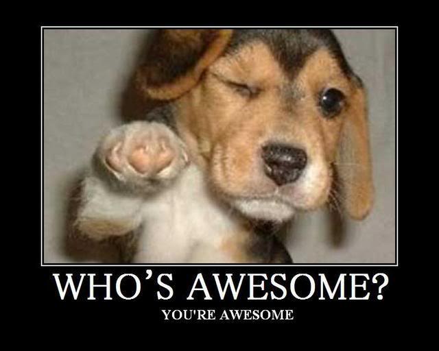 Dog Puppy who's awesome you're awesome.jpg