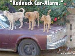 Dog redneck car alarm.jpg