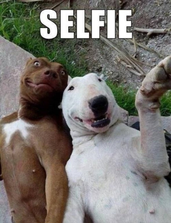 Dog Selfie.jpg