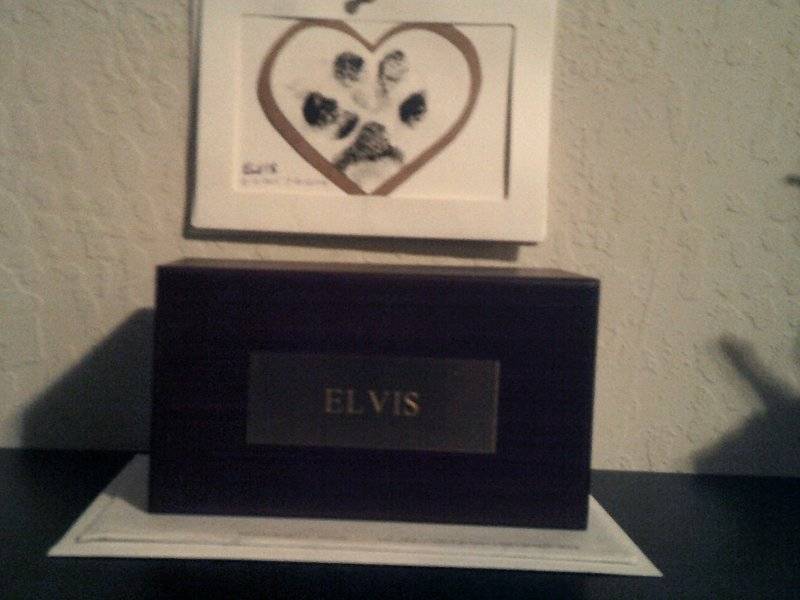 Elvis's ashes & Paw print 004.JPG