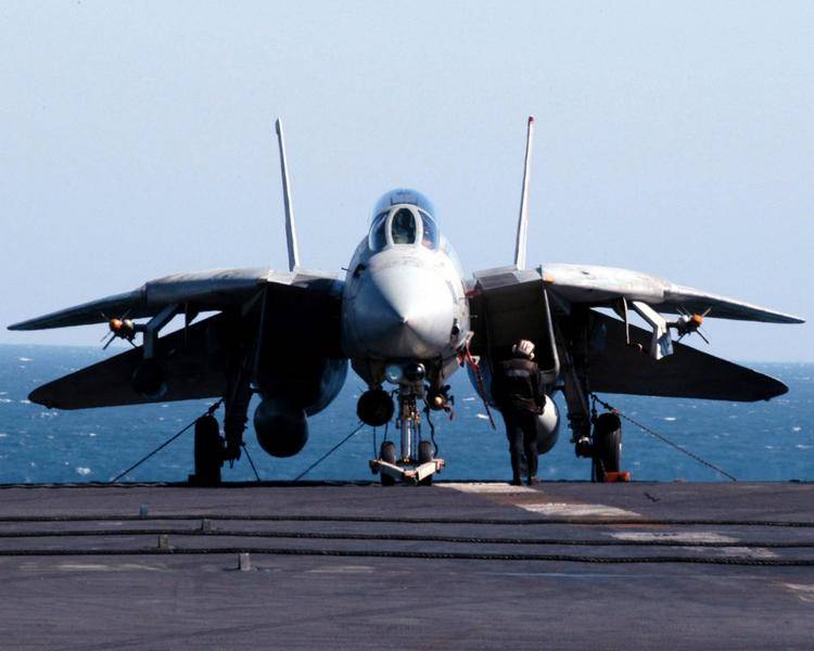 f-14tni.jpg