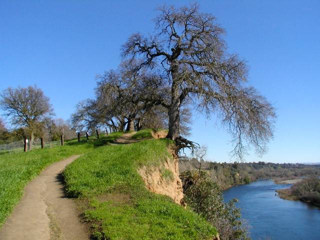 Fair Oaks Bridge #3 030 (Small).jpg