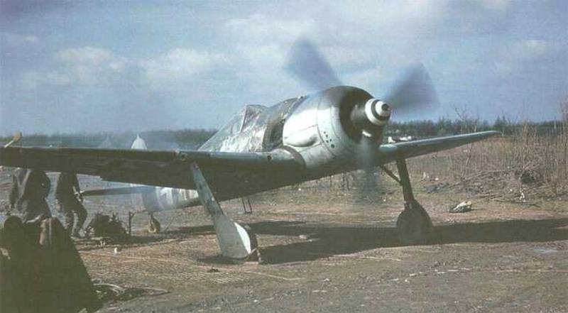 Focke-Wulf-FW-190-Kleuren.jpg