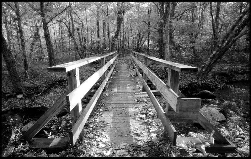 Foot Bridge1.jpg