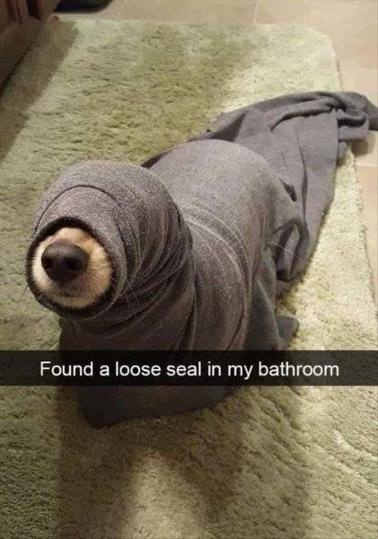 found-loose-seal-my-bathroom.jpeg