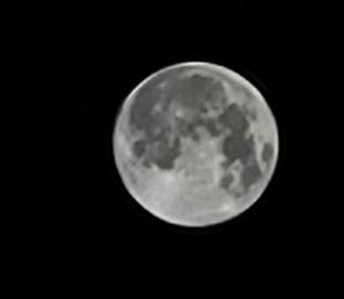 full moon 2-24-24.jpg