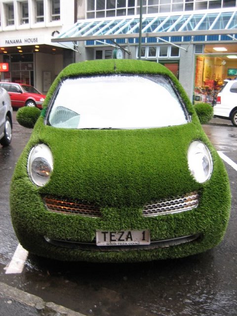 grass-car.jpg