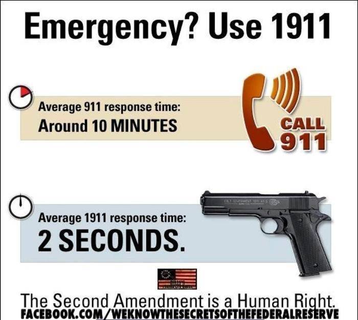 Gun 1911 Responce.jpg