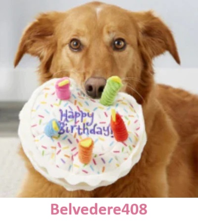 Happy Birthday Belvedere408.jpg