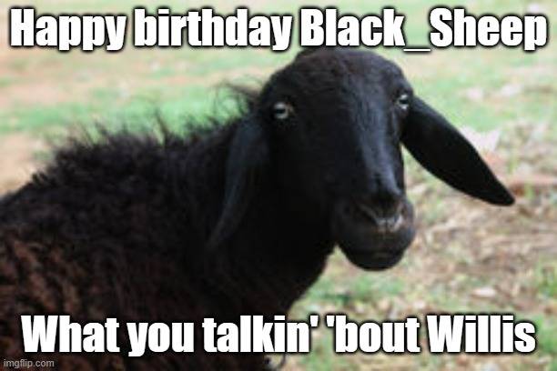 HBD blacksheep.jpg