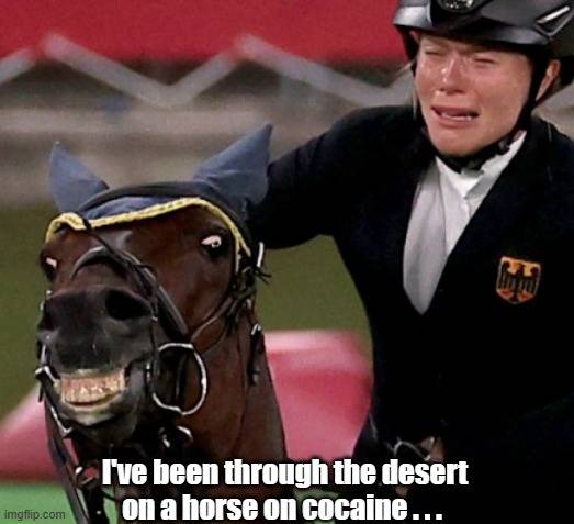 Horse on cocaine.jpg